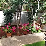 Appartement Sandra *