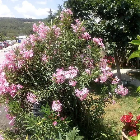 Apartman Sandra Rabac