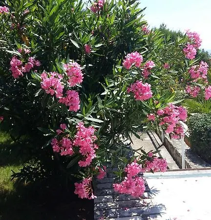 Apartamento Sandra