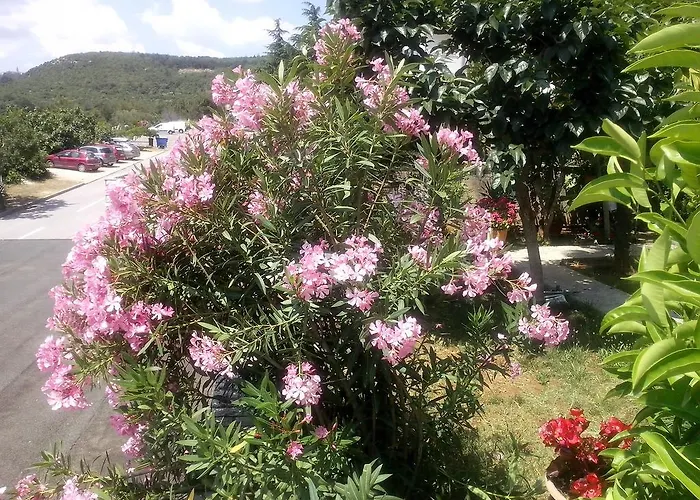 아파트 Sandra 라벡