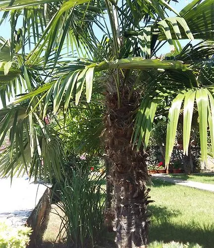 아파트 Sandra 라벡